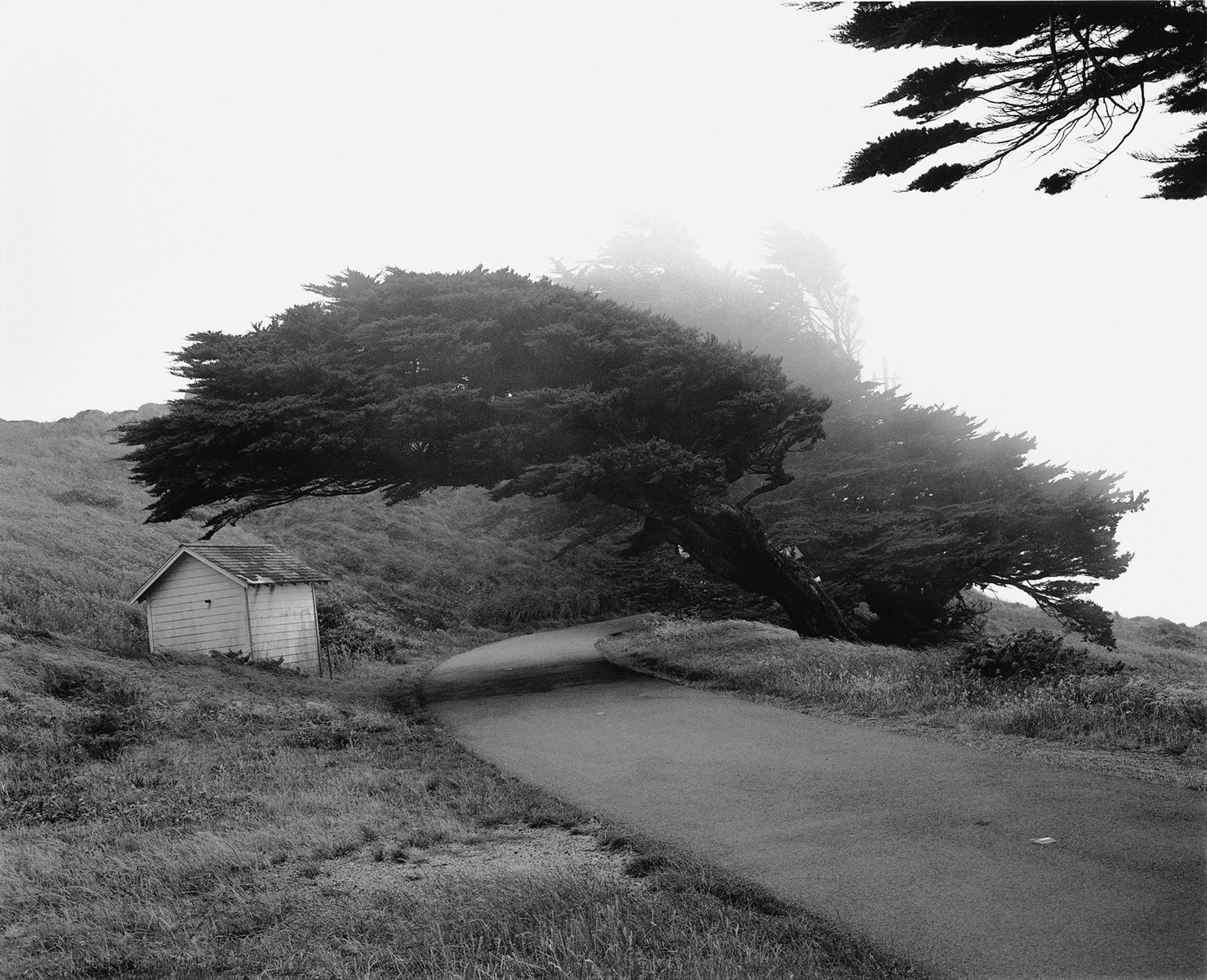 Point Reyes, Kalifornien, USA, 2006, Silbergelatineabzug