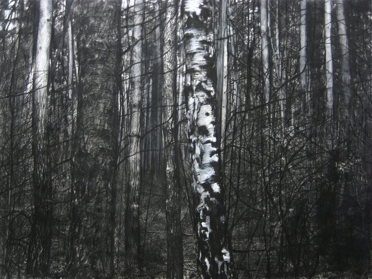 Waldstück, 2023